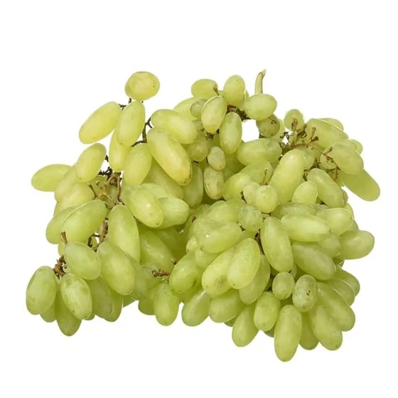 Fresh Seedless Grapes — Green color oval shaped