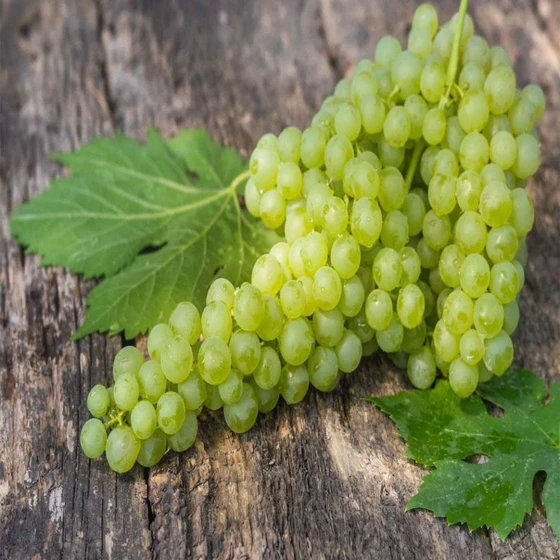 natural-sweet-grapes-1.webp