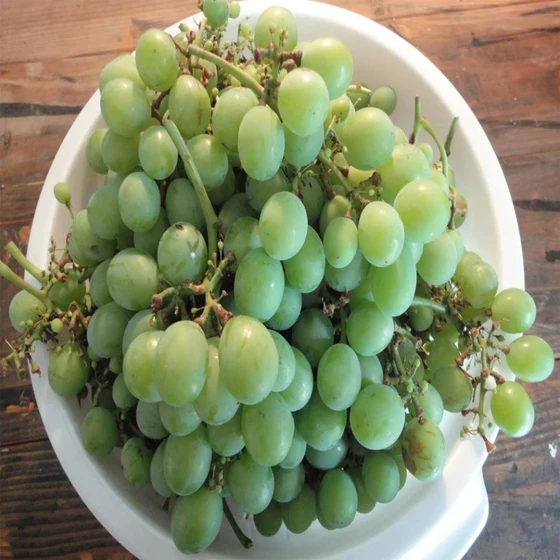 natural-sweet-grapes-2.webp