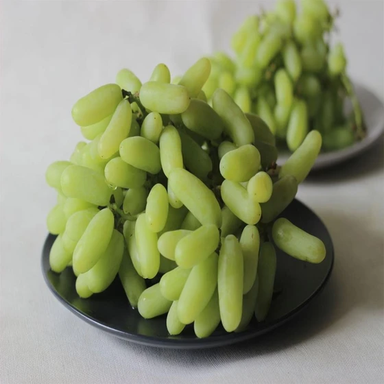 Indian Fresh Grapes — Natural tasty green color