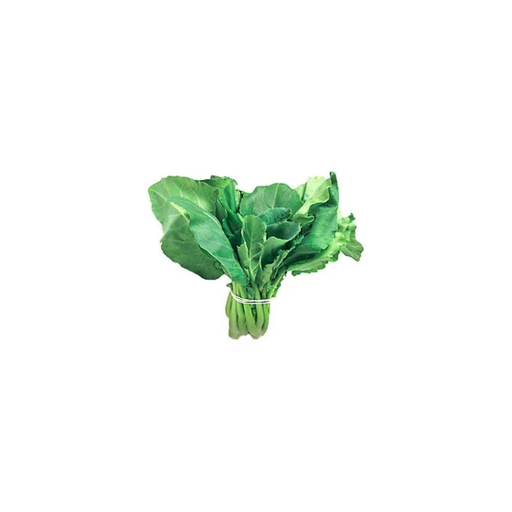 Fresh Gai Lan — Bright green with tightly closed