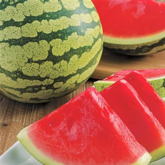Natural Green Watermelon — Human consumption usage