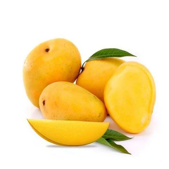 Common Alphonso Mangoes — Fressness good in taste feature