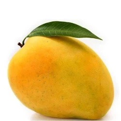 Organic A Grade Mango