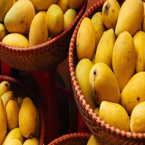 fresh-mango-fruits-2.webp
