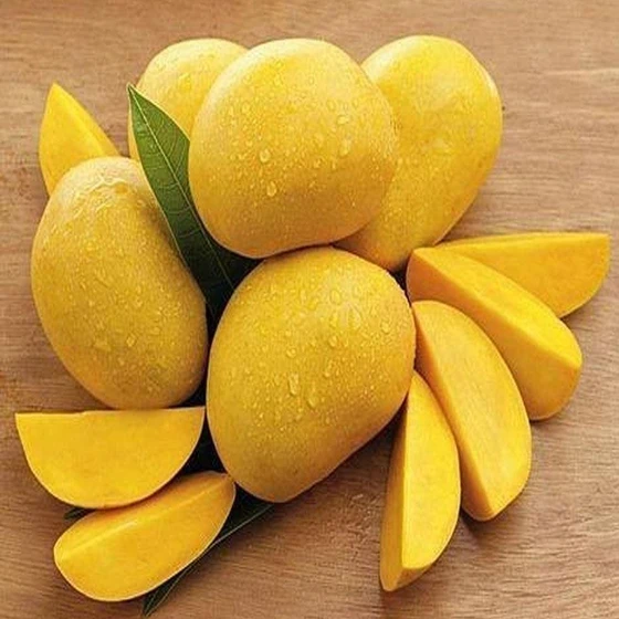 yellow-fresh-mango-1.webp
