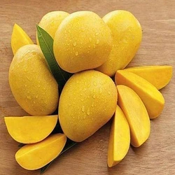 Yellow Fresh Mango