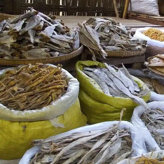 dried-sea-food-2.webp