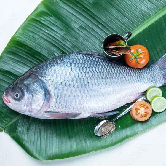 fresh-katla-fish-2.webp