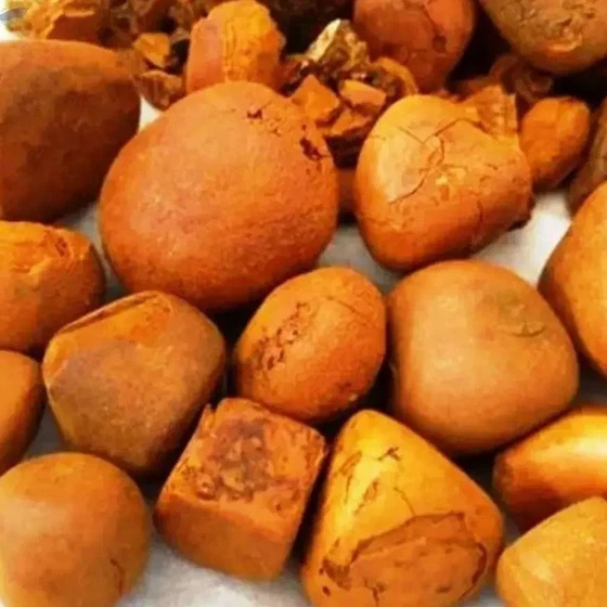 Organic Cattle Gallstones — Hard crystalline structures