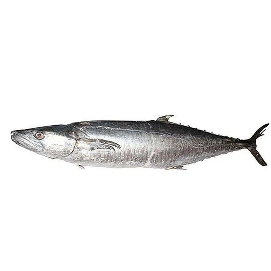 fresh-seer-fish-2.webp