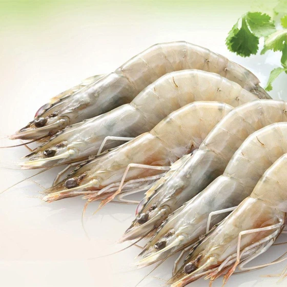 White Fresh Prawns — Piece shape freshest waters