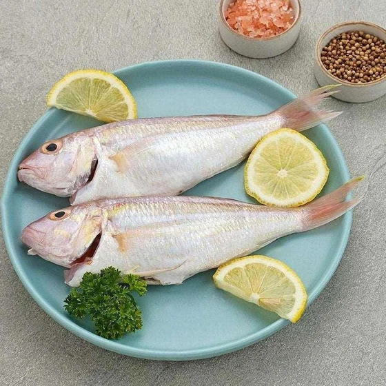 fresh-croaker-fish-2.webp