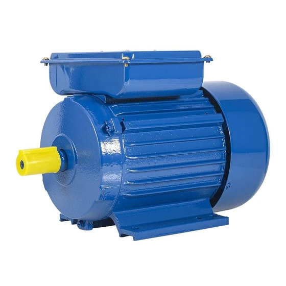 Single Phase Cast Iron Motor — Mild steel material