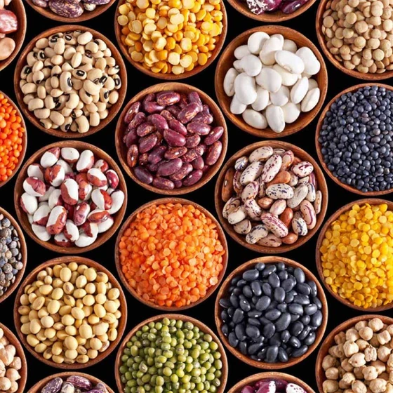 organic-raw-pulses-1.webp