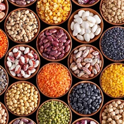 Organic Raw Pulses