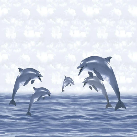dolphin-design-tiles.webp
