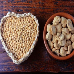 Food Item Soya Chunks