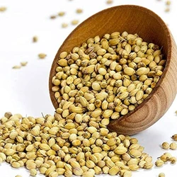 Natural Coriander Seeds