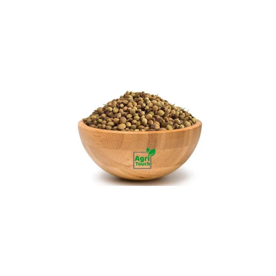 green-coriander-seeds-2.webp