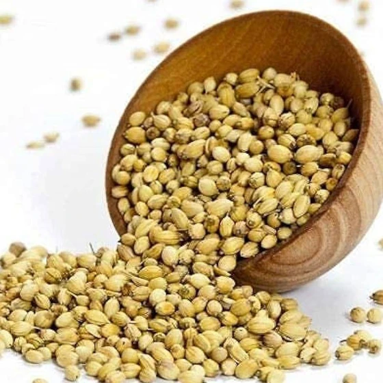 coriander-pure-seeds-1.webp