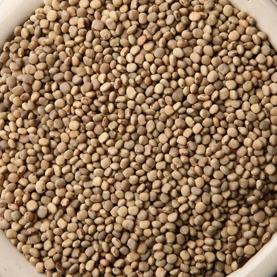 white-guar-gum-seeds-1.webp