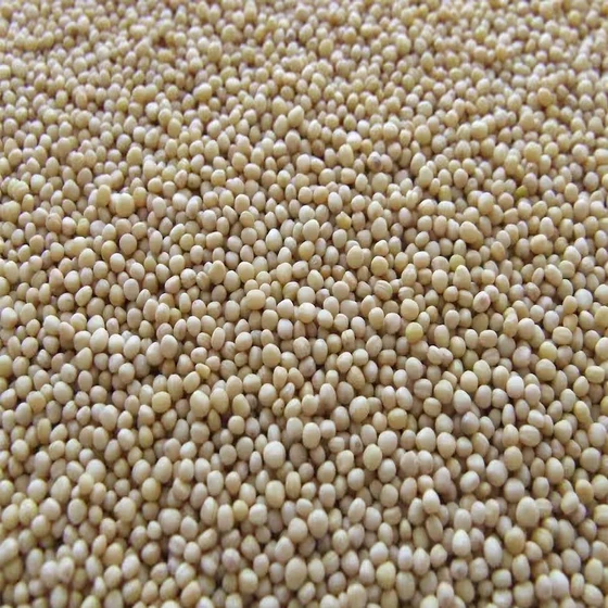white-guar-gum-seeds-2.webp