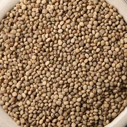White Guar Gum Seeds