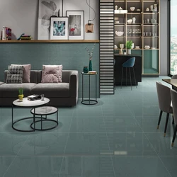 Polished Full Body Vitrified Floor Tiles