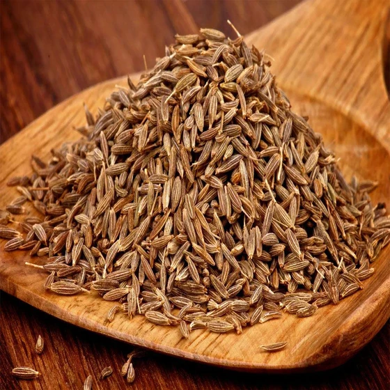 Cumin Seeds — Weight loss digestion healthy
