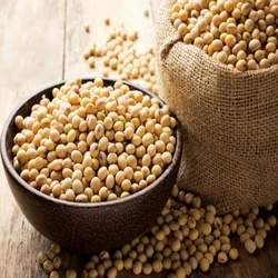 Guar Seeds