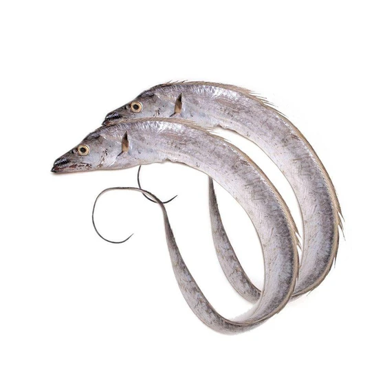 Frozen Ribbon Fish — Fresh body with white meat