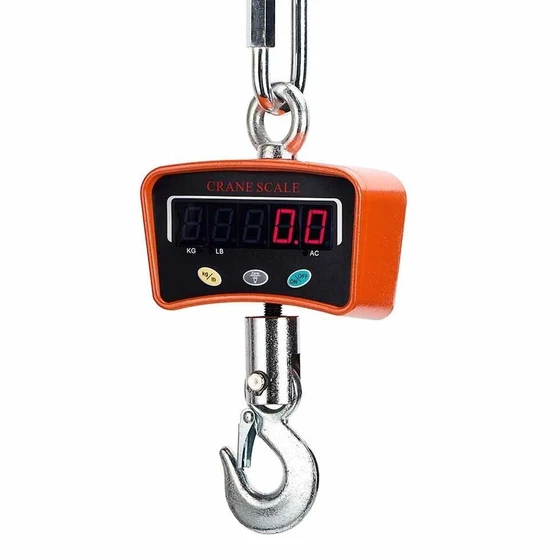 industrial-crane-scale-2.webp