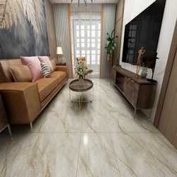 Polished Glossy Vitrified Floor Tiles