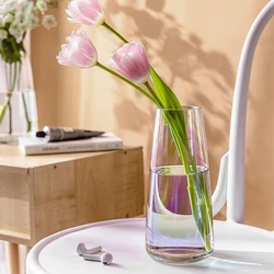 Glass Transparent Vases
