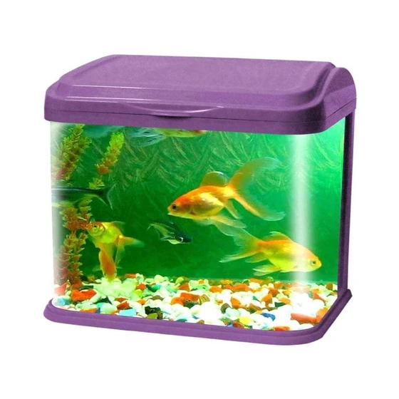 glass-moulded-aquarium-2.webp