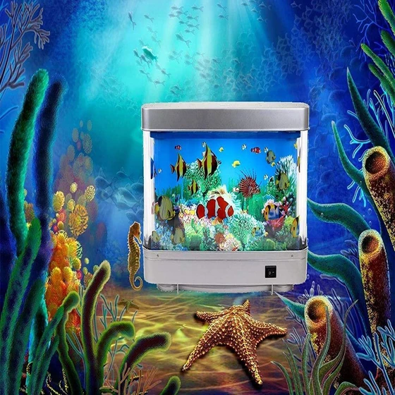 tropical-fish-aquarium-2.webp