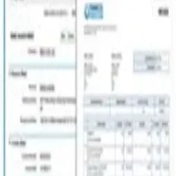 Software Service, Languages Supported English