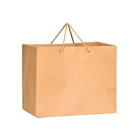 carry-paper-bag-2.webp