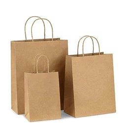 Carry Paper Bag