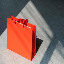Paper Shopping Bag