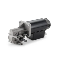 Worm Gear Motor