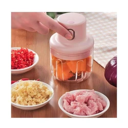  Mini Food Chopper