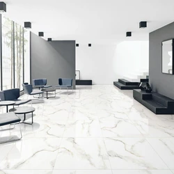 Polished Plain Ceramic Floor Tiles