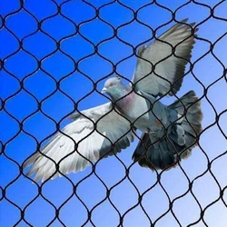 Ss Bird Protection Net