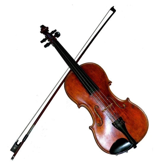 Plain Wooden Violin — Plain tan and black material
