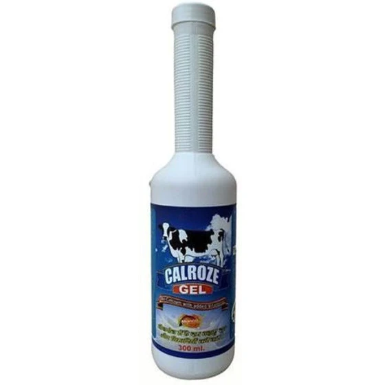 Liquid Calroz Gel — 300 milliliter quantity syrup form