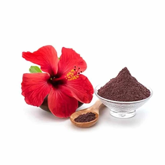 hibiscus-flower-powder-2.webp