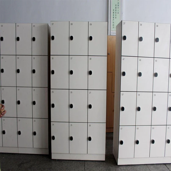 MS Gym Locker — Rectangle shape 0 8 mm thicker