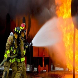 Fire Protection Services